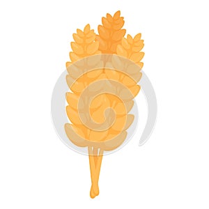 Grain wheat plant icon cartoon vector. Bread production material