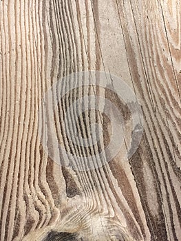 Grain on Wooden groyne at Worthing, West Sussex, England