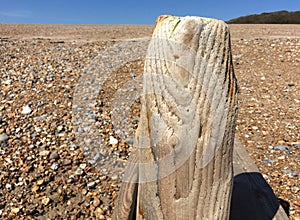 Grain on Wooden groyne at Worthing, West Sussex, England