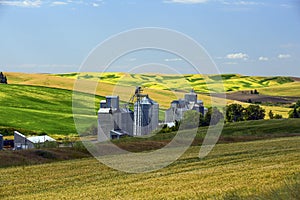 Grainery on way to Pullman, WA photo