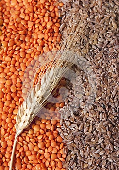 Grains