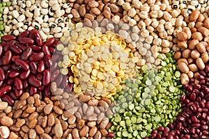 Grains beans legumes seed