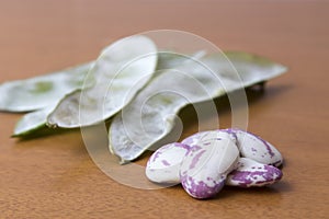 Grains of beetroot in the foreground, to the bottom pods of bean photo