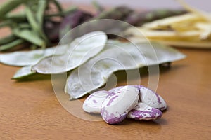 Grains of beetroot in the foreground, to the bottom pods of bean photo