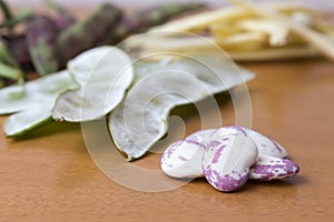 Grains of beetroot in the foreground, to the bottom pods of bean photo