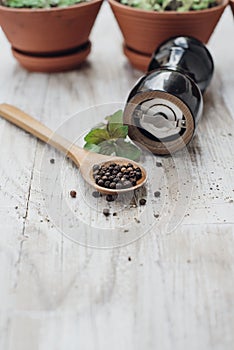 Grains of black Pepper in a wooden spoon