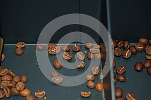 Grains of coffe photo