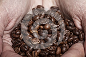Grains of coffee in hands. Close-up. Natural energy product