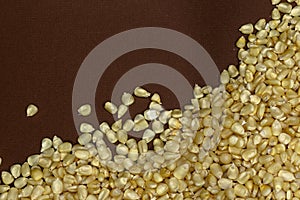 Grains of corn in right inferior corner witn text space