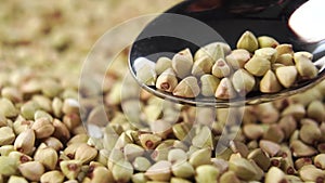 Grains of green uncooked dried buckwheat are poured from a spoon