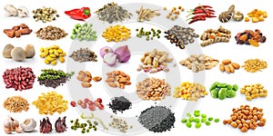 Grains and herbs on white background