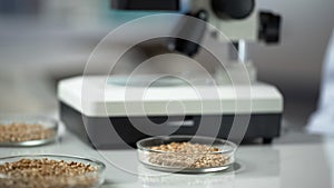 Zrna v laboratoř nádobí na stůl surový zdravý jídlo výroba 