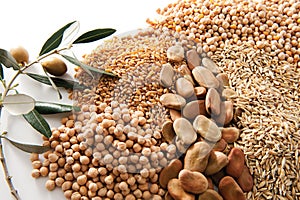 Grains and olive branch on white background