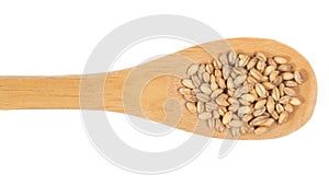 Grains over wooden bamboo spoon. Isolated, White background. photo