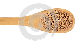 Grains over wooden bamboo spoon. Isolated, White background. photo