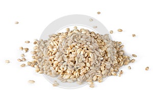 Grains of pearl barley on a white background
