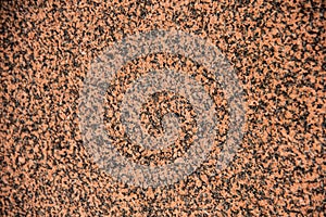 Grains on polished granite