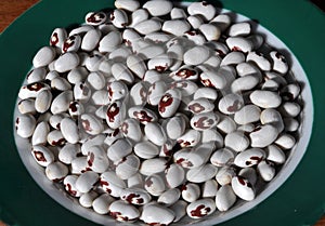 Grains of red and white dry beans