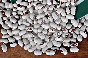 Grains of red and white dry beans