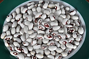 Grains of red and white dry beans