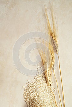 Grains of rice and ears of wheat