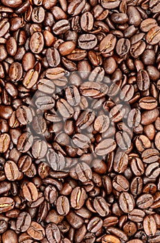 Grains of roasted aromatic coffee background