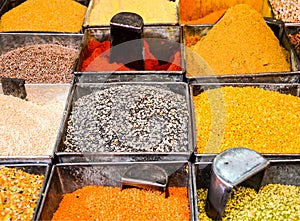 Grains and spices, Jodhpur, India photo