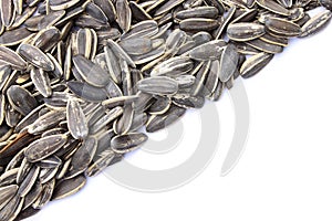 Grains of sunflower seed on white background