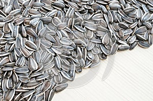 Grains of sunflower seed on wood background