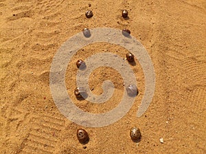 GRAINS OF TREE IN THE SAND photo