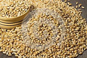 Grains of wheat in a box on table closeup