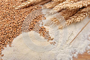 Grains, wheat ears and flour on a wooden table. Concept of making food from cereals. Rustic background. Copy space