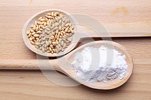 Grains of wheat and flour