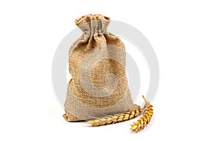 Grains of wheat or rye in bag with bunch of dry ears isolated on white background