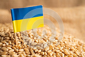 Grains wheat with Ukraine flag, trade export and economy concept