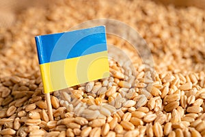 Grains wheat with Ukraine flag, trade export and economy concept