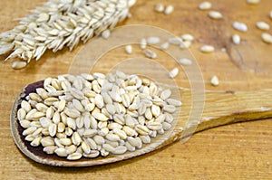 Grains of wheat in a wooden spoon