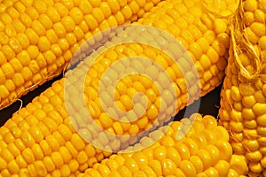 Grains of yellow ripe corn. photo