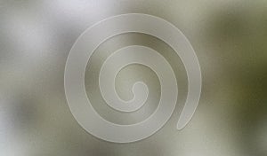 Grainy abstract blurred background with soft neutral tones and visible noise texture. Minimal and atmospheric backdrop