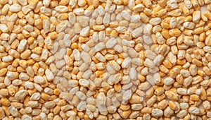 Grainy Texture A CloseUp View of Small YellowishWhite Objects on a Flat Surface.