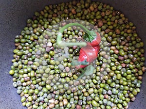 Gram beans around red pepper