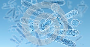 Gram-negative rod-shaped bacteria, part of intestinal microbiome and causative agents of different infections