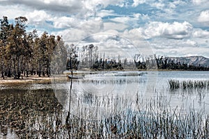 Grampians National Park Wartook Reservoir, Victoria, Australia