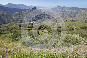 Gran Canaria, Caldera de Tejeda in January