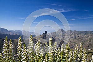 Gran Canaria, Caldera de Tejeda in January