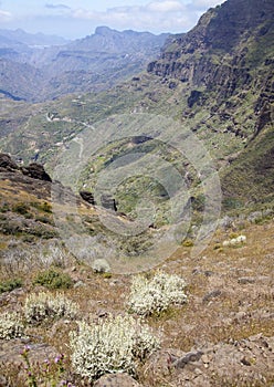 Gran Canaria, Caldera de Tejeda in May