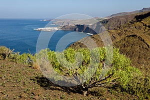 Gran Canaria coast