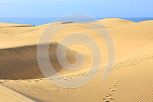 Gran Canaria dunes
