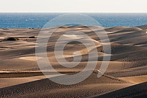 Gran Canaria Dunes in Maspalomas photo