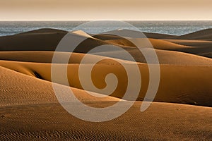 Gran Canaria Dunes in Maspalomas